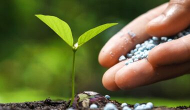 Добрива Добрива