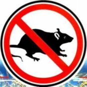 Засоби від шкідників Засоби від шкідників