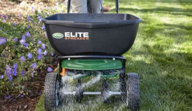 Як підготувати газон до весни: покрокова інструкція Як підготувати газон до весни: покрокова інструкція